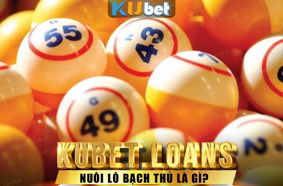 Nuôi lô bạch thủ là phương pháp chơi lô hiệu quả